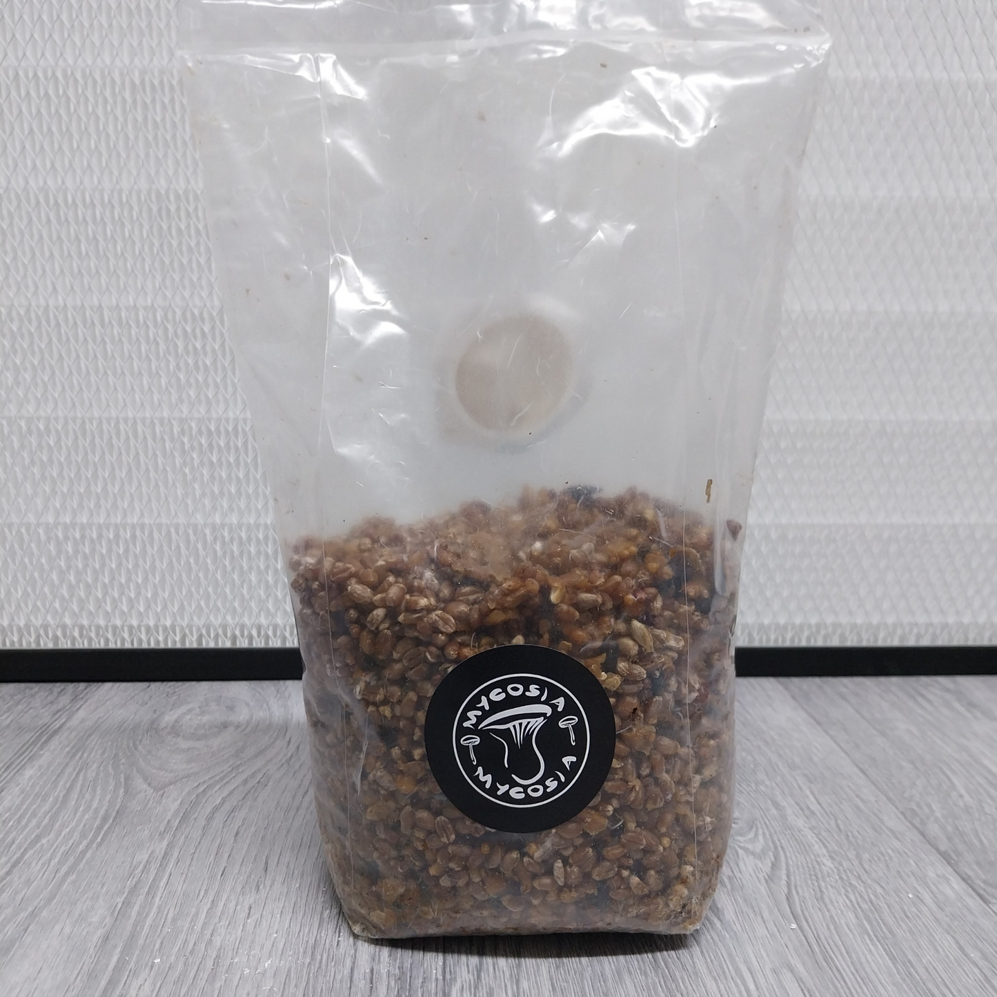 Wild Bird Seed Grain Spawn
