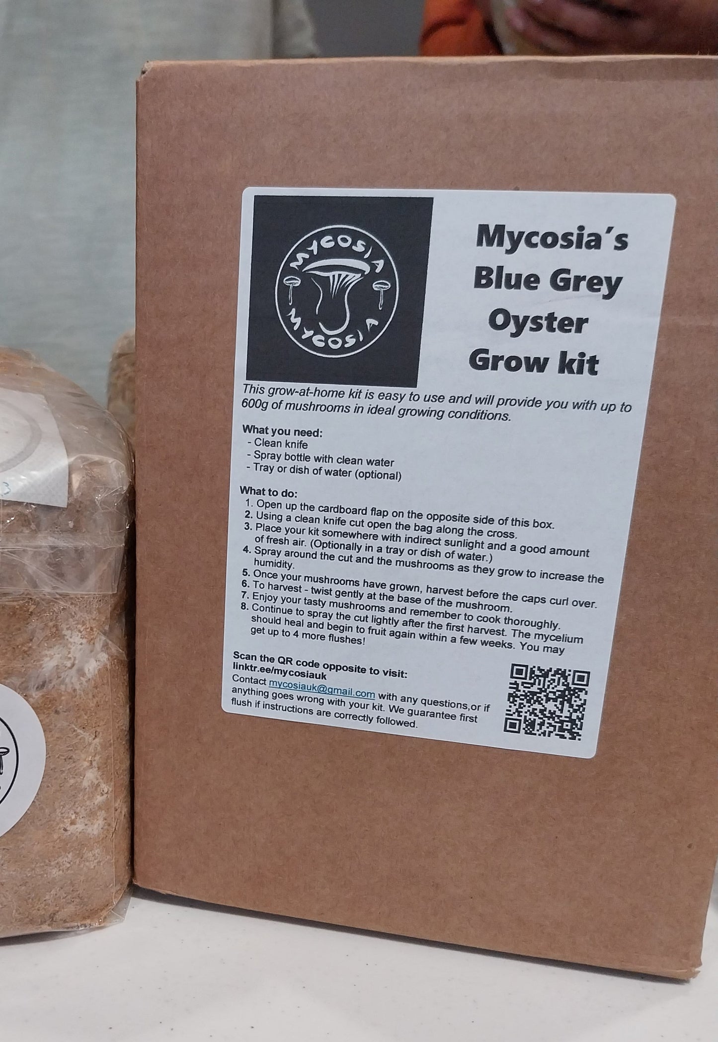 Oyster Mushroom Grow Kit
