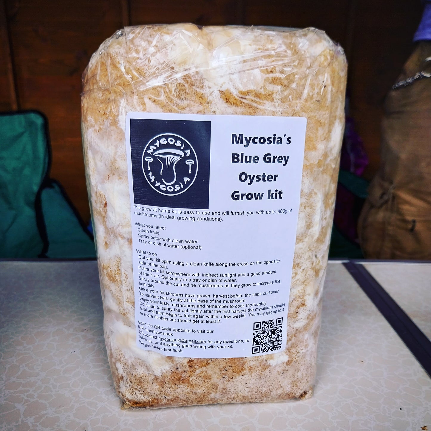 Oyster Mushroom Grow Kit