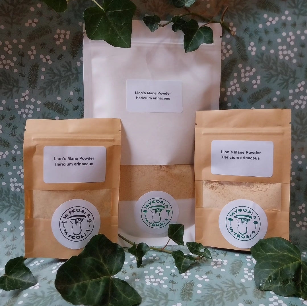 Lion's Mane Powder