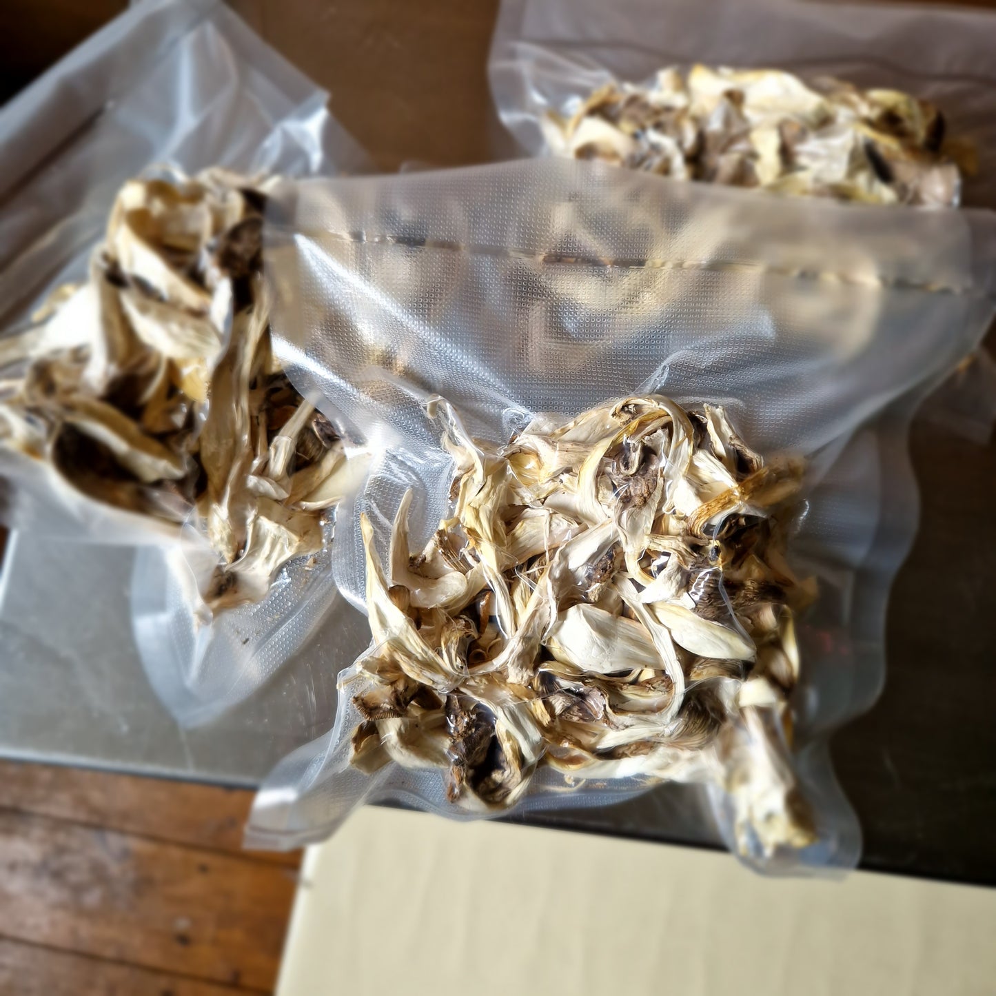 Dried Oyster Mushrooms